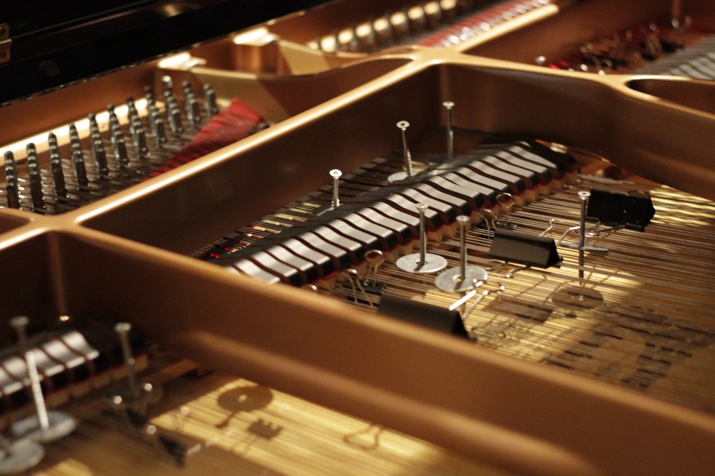 Crédit photo : Nady Larchet