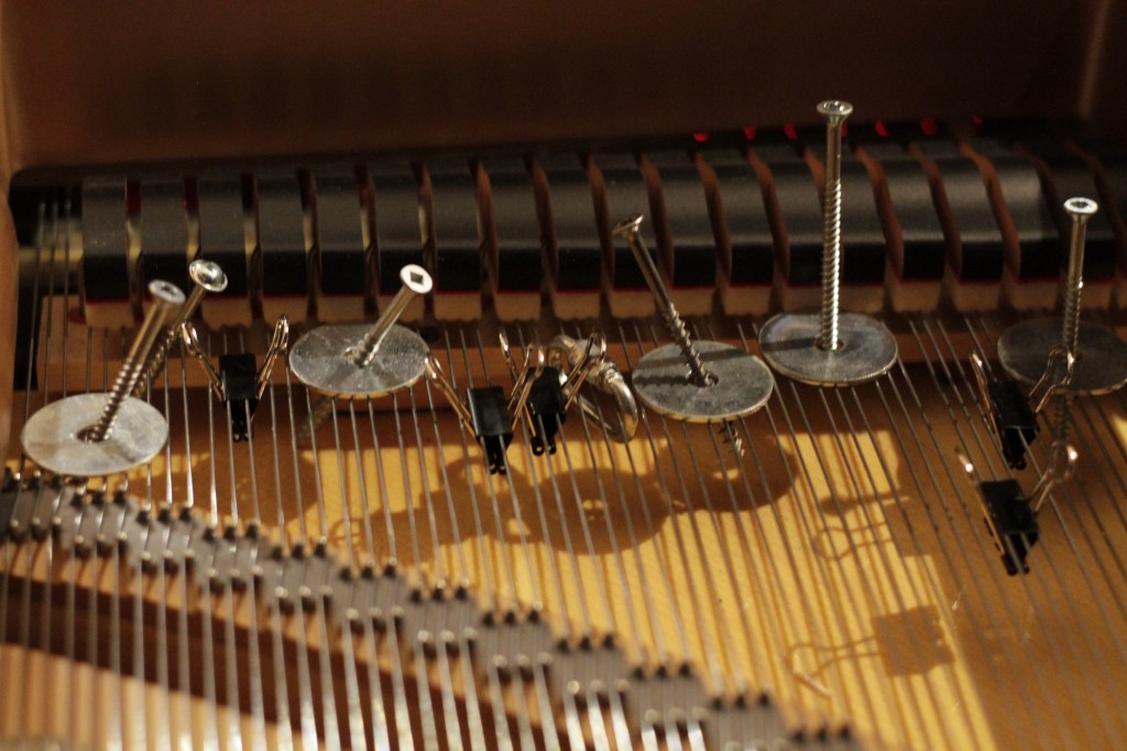 Crédit photo : Nady Larchet